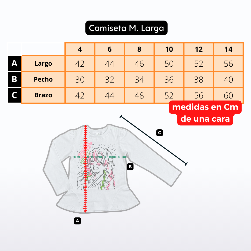 Camiseta Manga Larga JERSEY / estampada